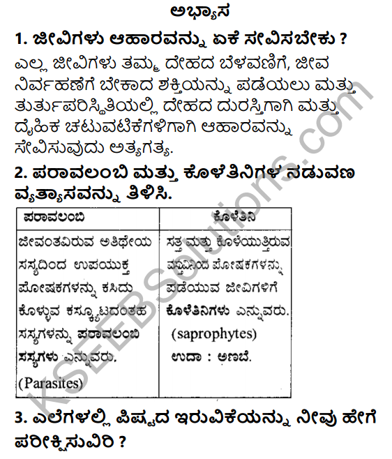 KSEEB Solutions for Class 7 Hindi वल्लरी Karnataka State Syllabus – KSEEB  Solutions