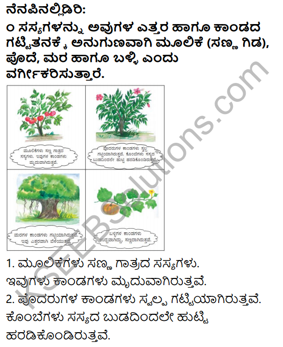 KSEEB Solutions for Class 3 EVS Chapter 2 Green Wealth in Kannada – KSEEB  Solutions